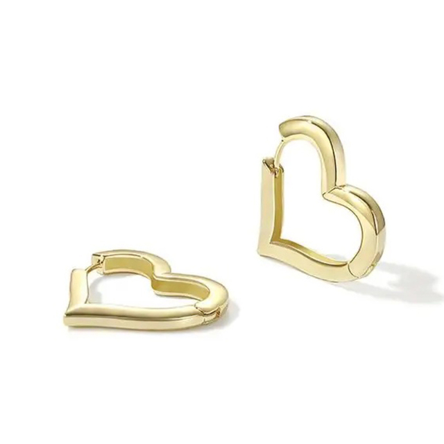 Hoop earrings Set 2 pairs steel 316L gold bode 02029