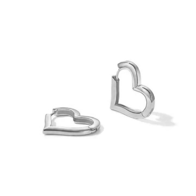 Hoop earrings Set 2 pairs steel 316L silver bode 02031