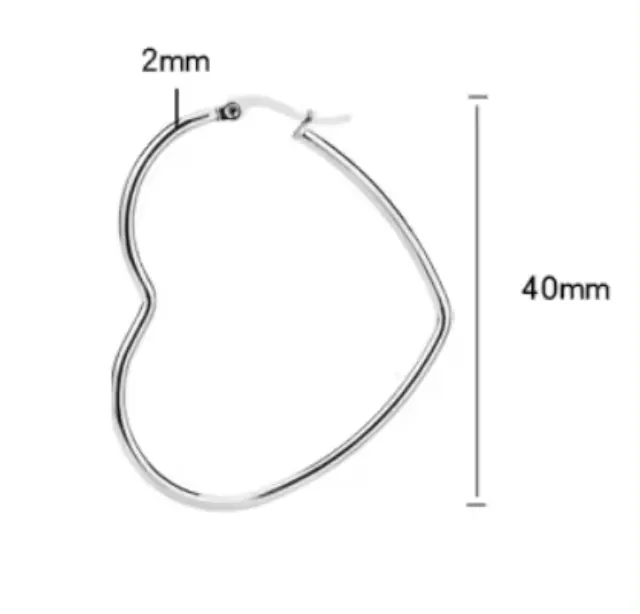 Women's earrings Hoop Hearth steel 316L silver 