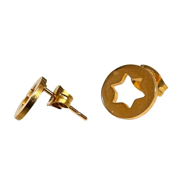 Earrings hypoallergenic steel 316L gold