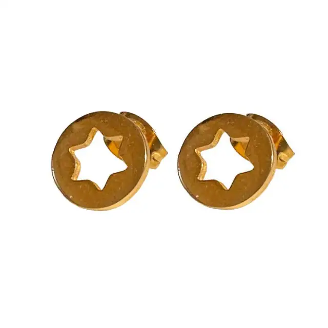 Earrings hypoallergenic steel 316L gold