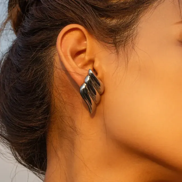 Women's earrings Wings steel 316L silver bode 02671