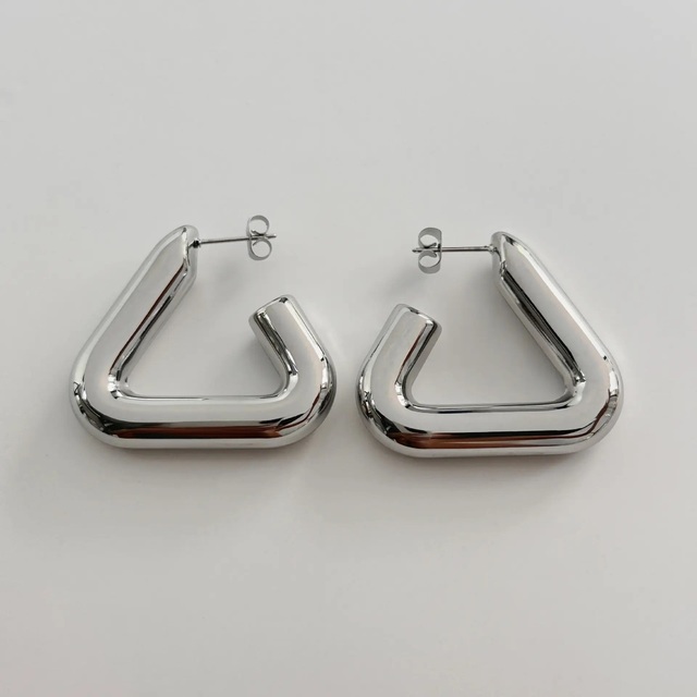 Women's earrings Hoop Hearth steel 316L silver