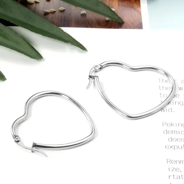 Women's earrings Hoop Hearth steel 316L silver 