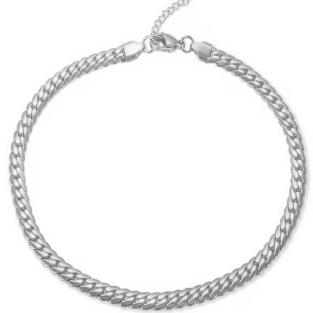 Stainless Steel Anklet in silver color