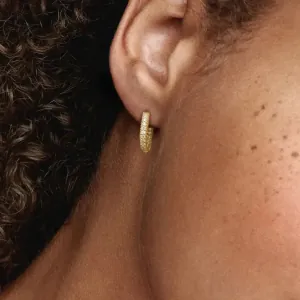 Σκουλαρίκια κρίκοι με πέτρες ζιργκόν ζευγάρι ασήμι 925 σε χρυσό χρώμα bode 00345