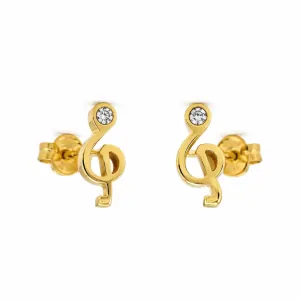 Earrings hypoallergenic steel 316L gold