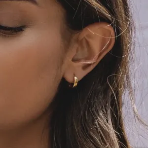 Earrings rings steel 316L gold