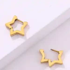 Women's earrings steel 316L rings gold