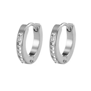  Earrings bode 02157 steel 316L rings silver