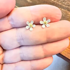 Children's earrings hypoallergenic silver 925 white