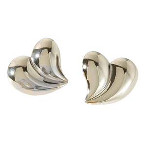 Women's earrings Hearth steel 316L silver bode 02691