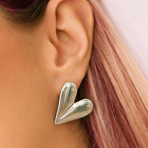 Women's earrings Hearth steel 316L silver bode 02694