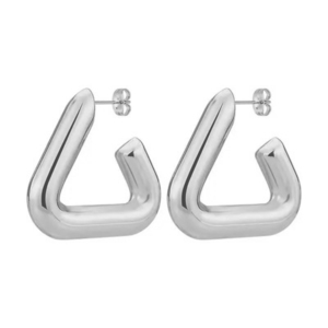 Women's earrings Hoop Hearth steel 316L silver