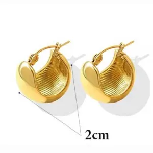 Earrings rings steel 316L gold