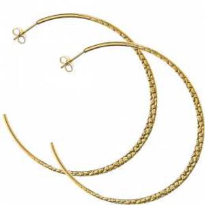  Women's earrings steel 316L rings gold 6cm Art 01816
