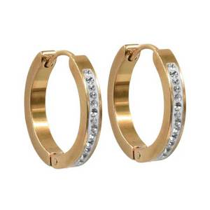  Earrings bode 02157 steel 316L rings gold