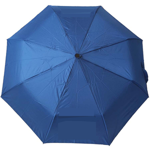Rain Umbrella automatic blue
