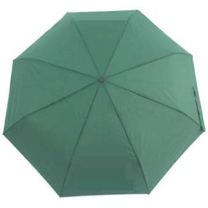 Rain Umbrella automatic green
