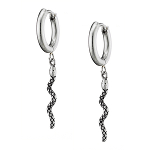 Unisex Earrings steel 316L silver