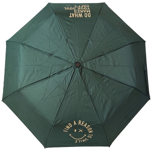 Smiley World Rain Umbrella 9314 Simple Windproof green