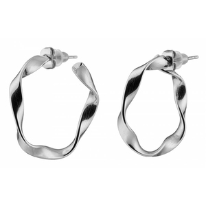 Women's earrings steel rings 2.5cm silver