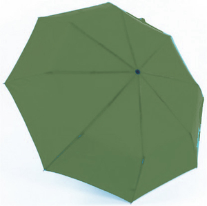 Rain Umbrella Simple with Wooden Handle green